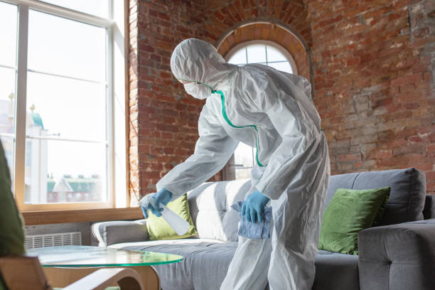 Best Mold Remediation for Rental Properties  in Jefferson, WI