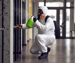 Mold Remediation for Rental Properties in Jefferson, WI